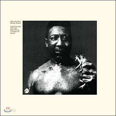 Muddy Waters (머디 워터스) - After The Rain [LP]