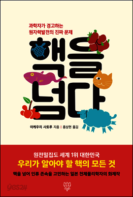 핵을 넘다