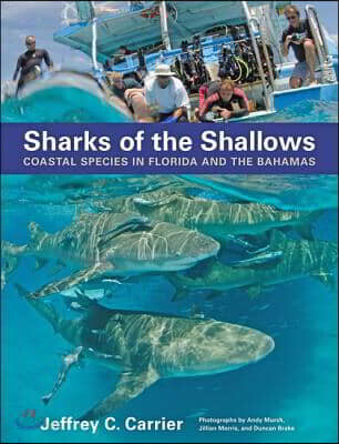 Sharks of the Shallows: Coastal Species in Florida and the Bahamas