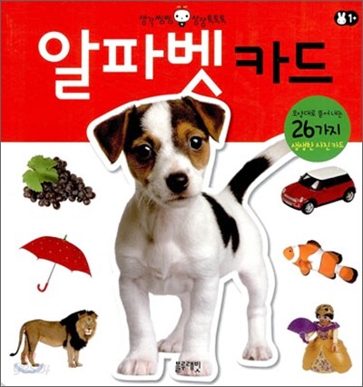 알파벳 카드