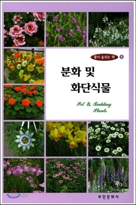 분화 및 화단식물