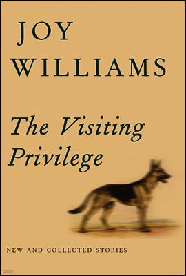 The Visiting Privilege