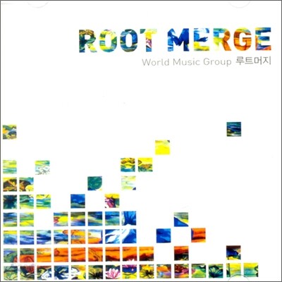 루트머지 (Root Merge) - Root Merge