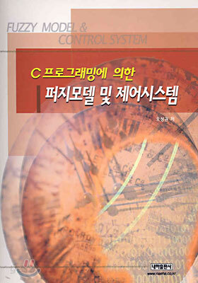 퍼지모델 및 제어시스템