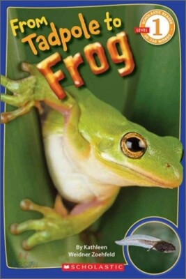 Scholastic Reader Level 1 : From Tadpole to Frog