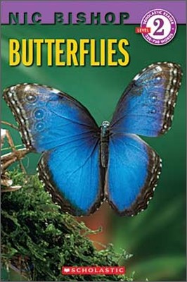 Scholastic Reader Level 2 : Butterflies