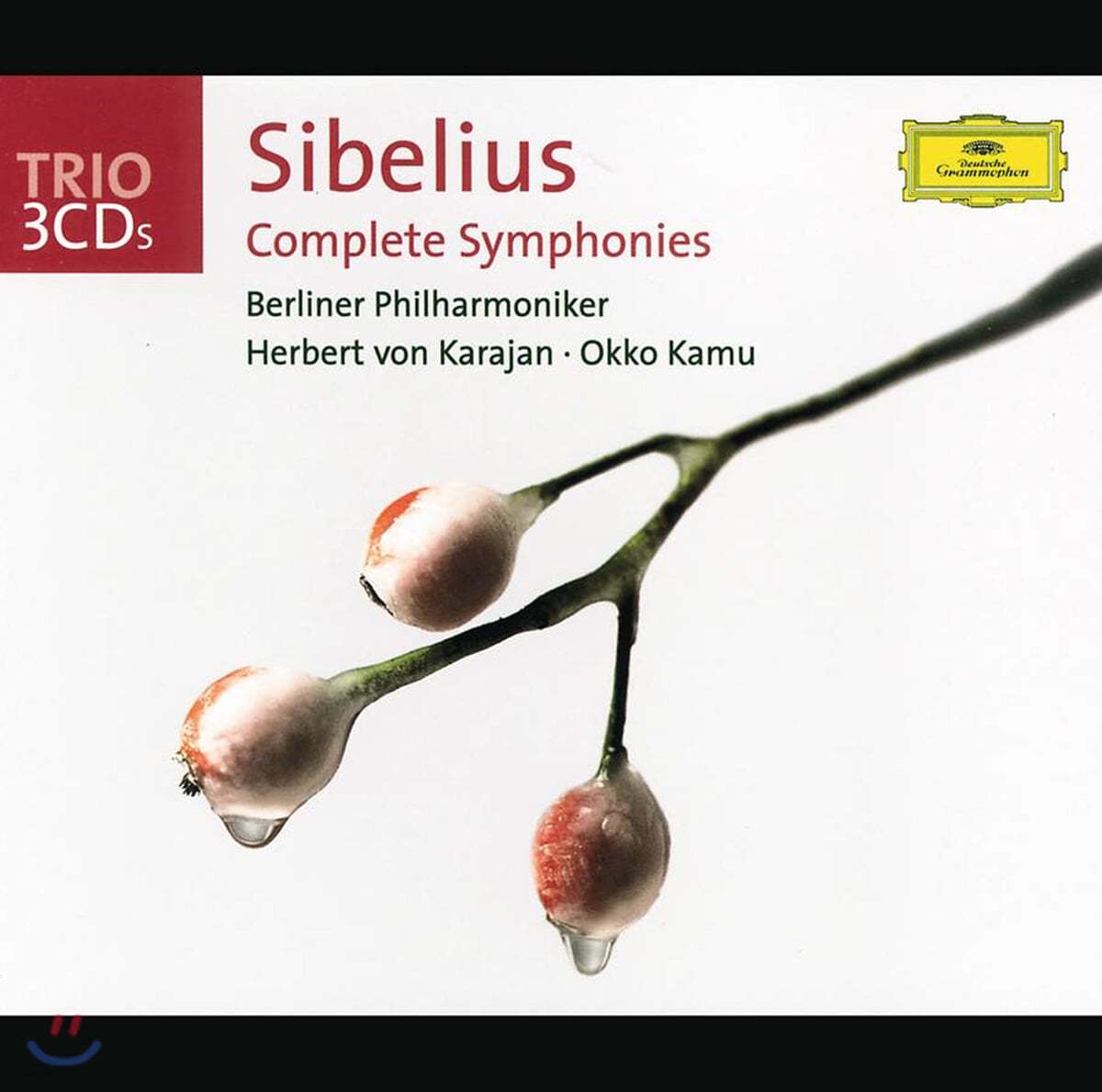 Okko Kamu 시벨리우스: 교향곡 전집 (Sibelius: Complete Symphonies)