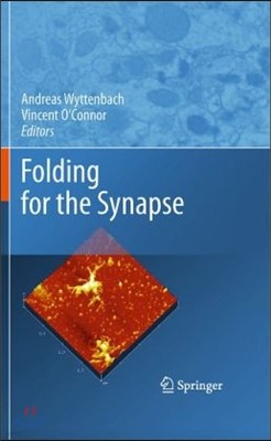 Folding for the Synapse