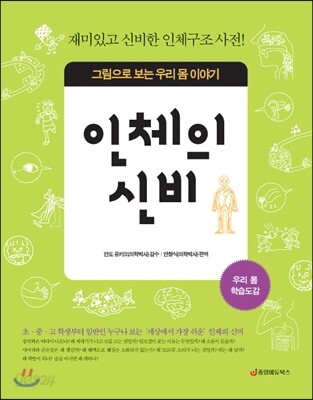 인체의 신비