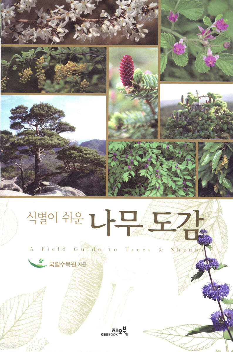 식별이 쉬운 나무 도감