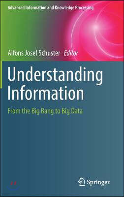 Understanding Information: From the Big Bang to Big Data