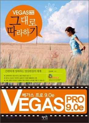 베가스 프로 9.0e