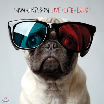 Hawk Nelson - Live  Life  Loud