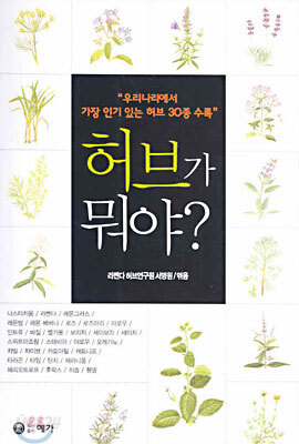 허브가 뭐야?