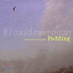 Pudding (푸딩) - If I Could Meet Again