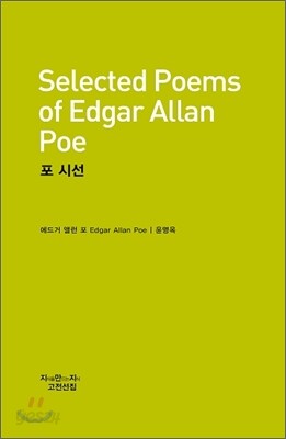 포 시선