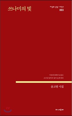 쓰나미의 빛 표지