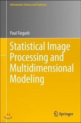 Statistical Image Processing and Multidimensional Modeling