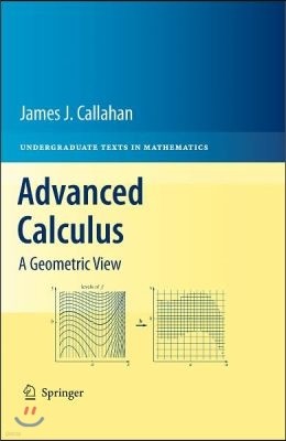 Advanced Calculus: A Geometric View