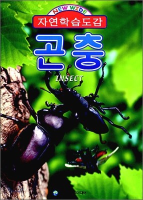 곤충