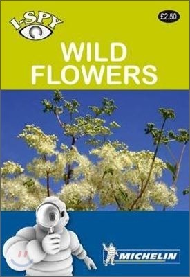 I-Spy Wild Flowers