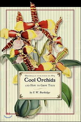 Cool Orchids