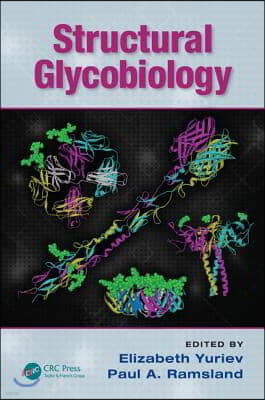 Structural Glycobiology