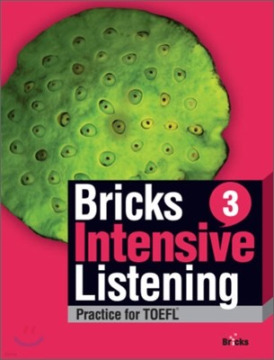 Bricks Intensive Listening 3