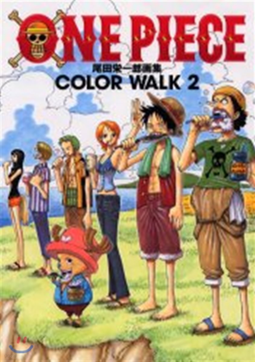 ONE PIECE COLOR WALK(2)
