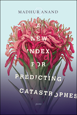 A New Index for Predicting Catastrophes