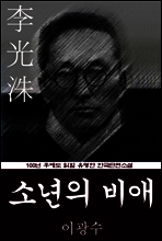 소년의 비애  (이광수) 100년 후에도 읽힐 유명한 한국단편소설
