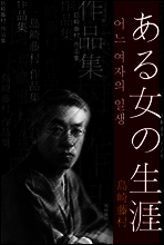 어느 여자의 일생 (ある女の生涯) 외 9작품 / 일본어 명인 명작