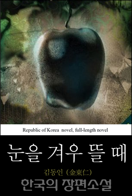 눈을 겨우 뜰 때 - 한국의 장편소설 30