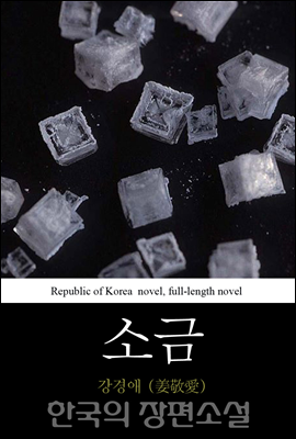 소금 - 한국의 장편소설 55
