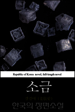 소금 - 한국의 장편소설 55