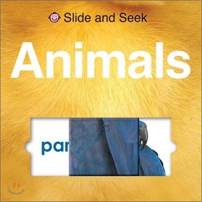 Slide and Seek : Animals