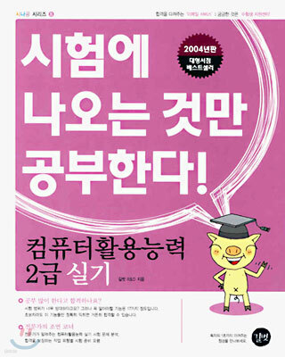 컴퓨터활용능력 2급 실기