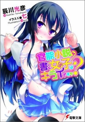 官能小說を書く女の子はキライですか?