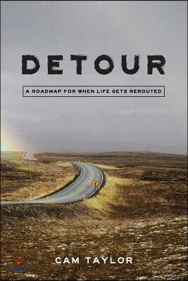 Detour: A Roadmap for When Life Gets Rerouted