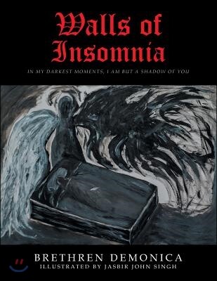 Walls of Insomnia: In My Darkest Moments, I Am but a Shadow of You