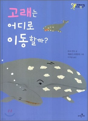책 정보
