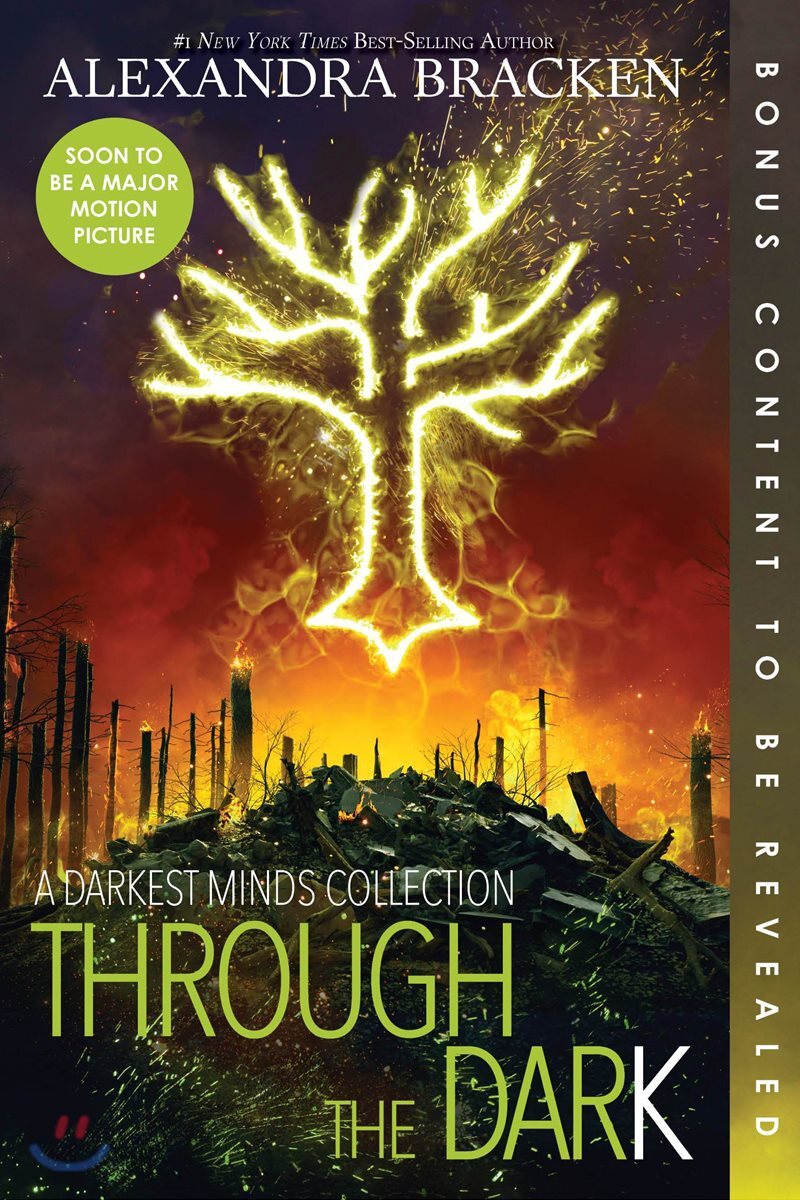 Through the Dark (Bonus Content)-A Darkest Minds Collection