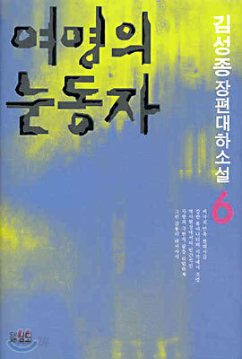 여명의 눈동자 6