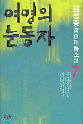 여명의 눈동자 7