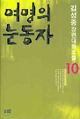 여명의 눈동자 10 (완결)