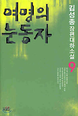 여명의 눈동자 9