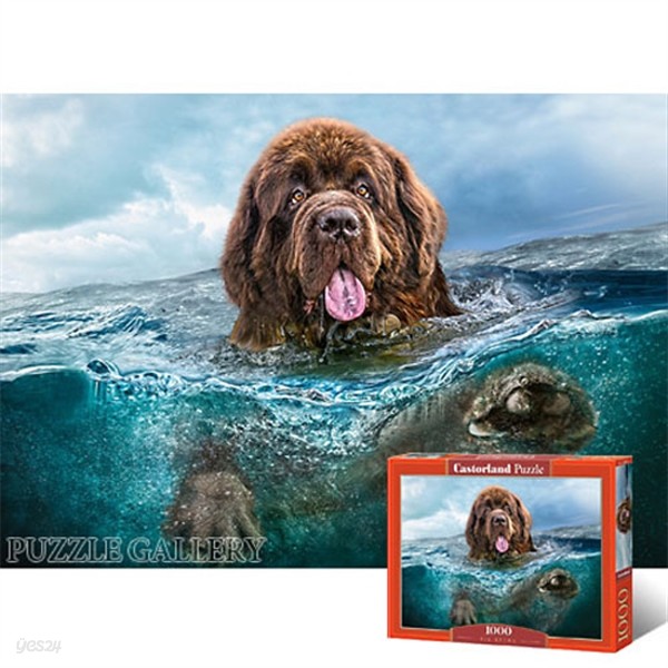 1000조각 직소퍼즐▶ 강아지의 바다 수영 (LD103478)