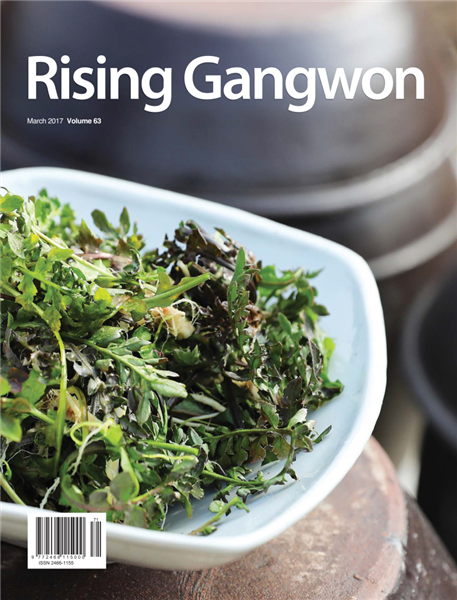 Rising Gangwon Volume 63