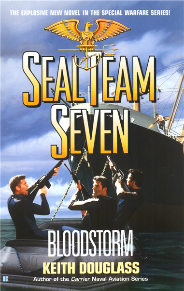 Seal Team Seven 13