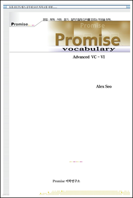 Promise Advanced Vocabulary 6